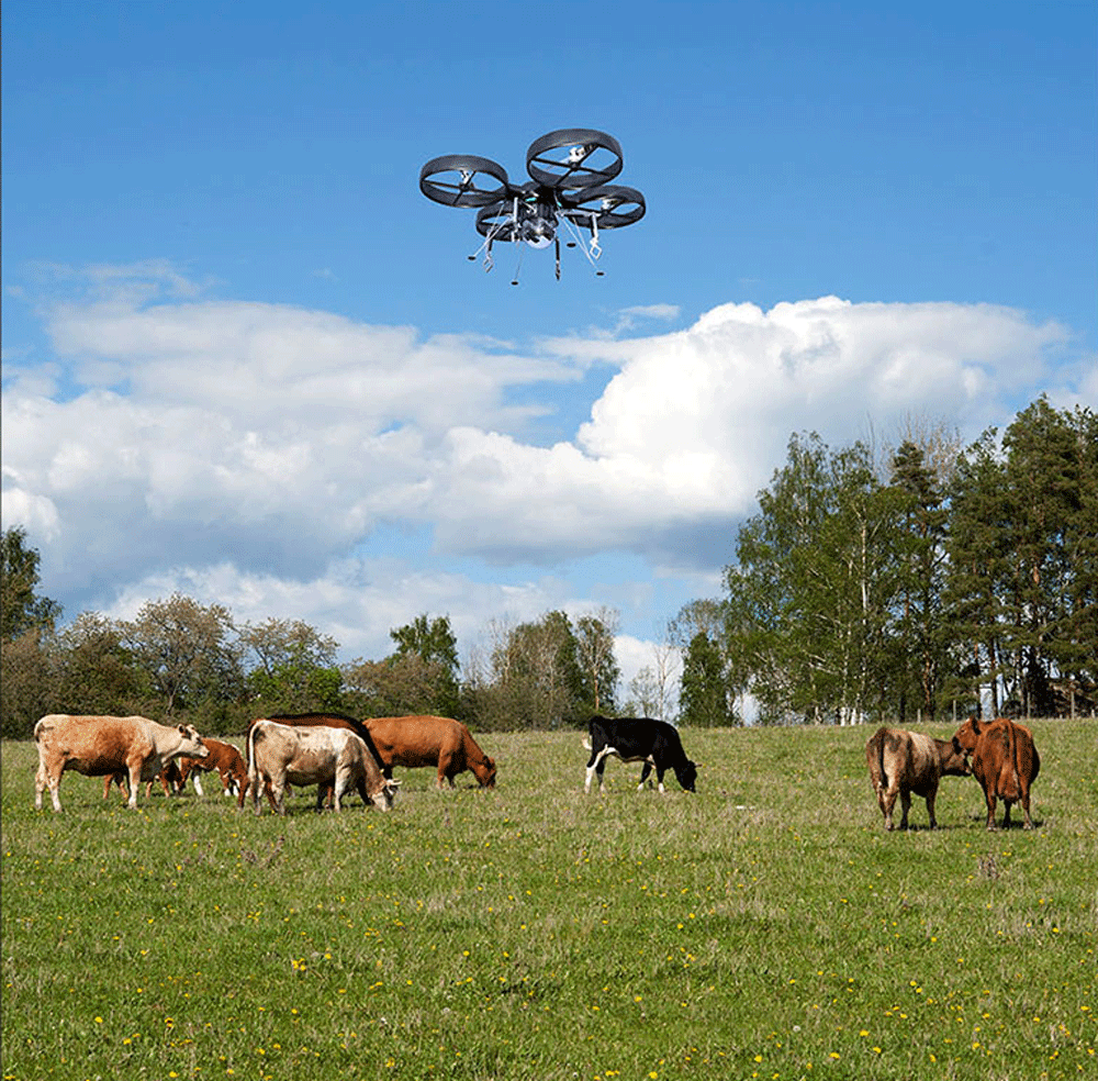 Precision Dalam Precision Livestock Farming: Drone Dalam Pengukuran Kesehatan Hewan