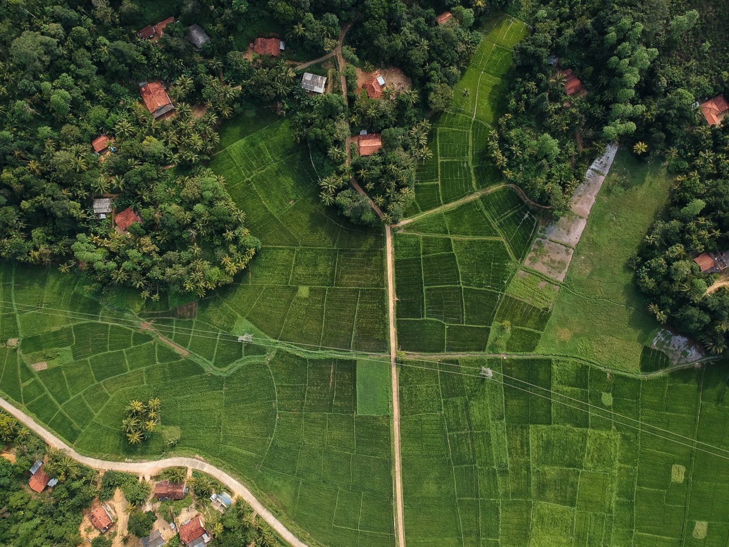 Pemetaan Kualitas Tanah Pertanian Dengan Drone Sensor