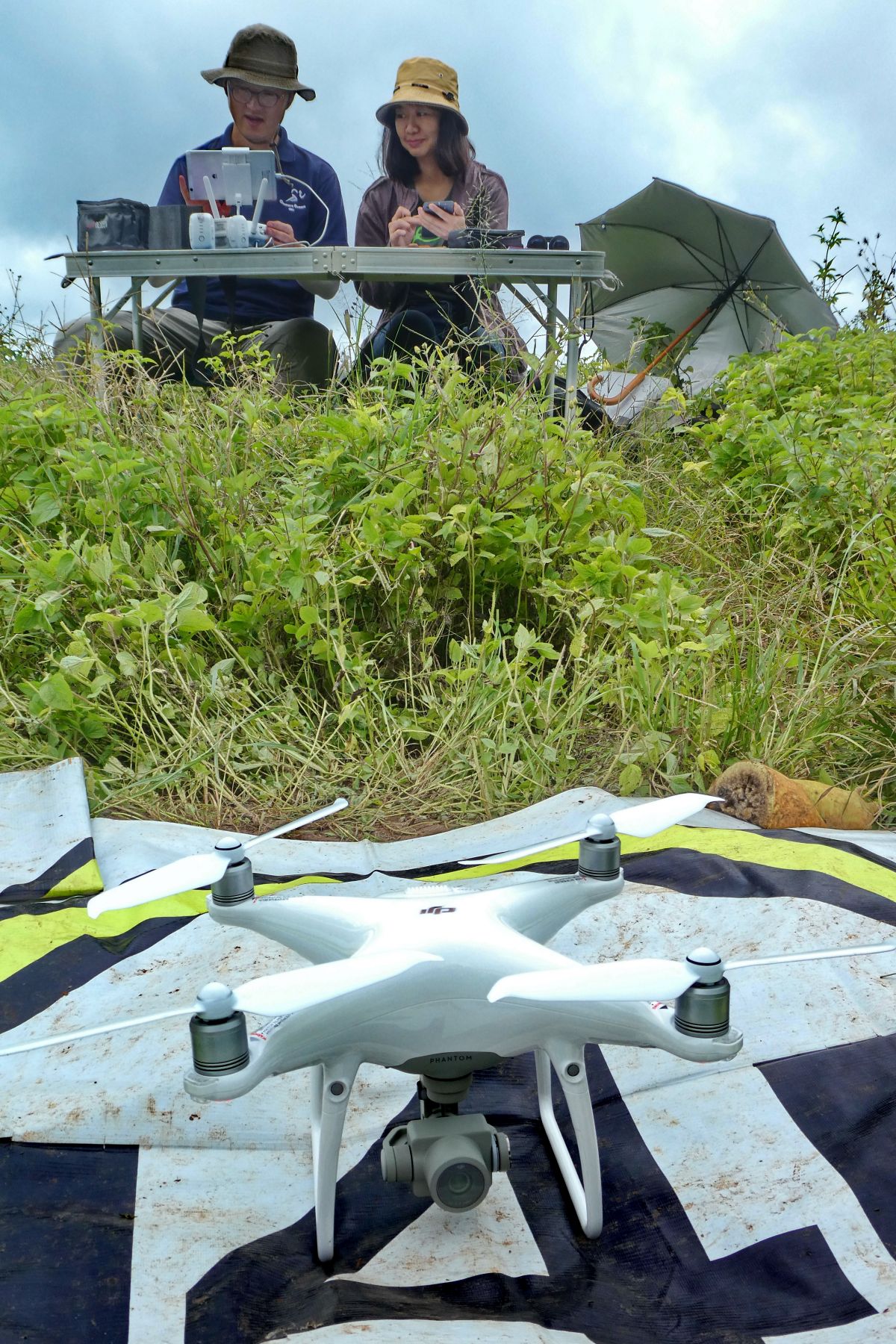 Pemetaan Drone Untuk Restorasi Habitat: Pengukuran Udara Untuk Kesehatan Ekosistem