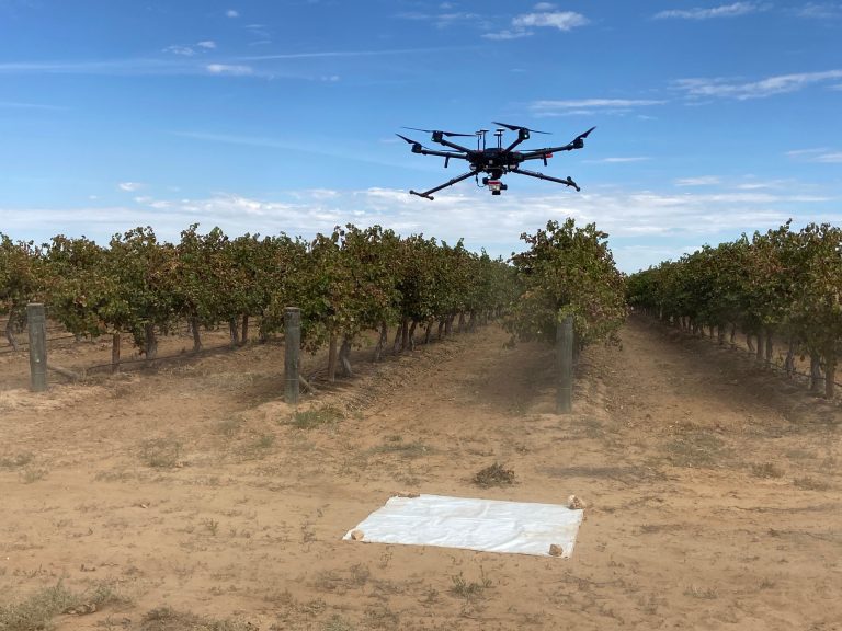 Keakuratan Dalam Precision Viticulture: Drone Dalam Pengukuran Kesehatan Tanaman Anggur