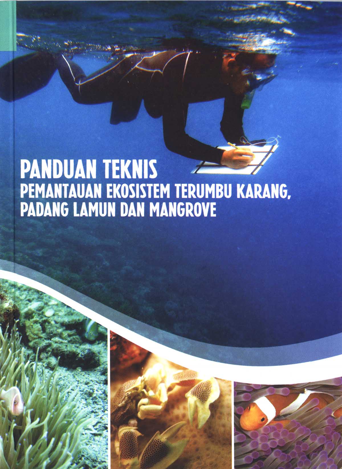 Mengoptimalkan Drone Untuk Pemantauan Dan Pemetaan Terumbu Karang Dan Ekosistem Laut