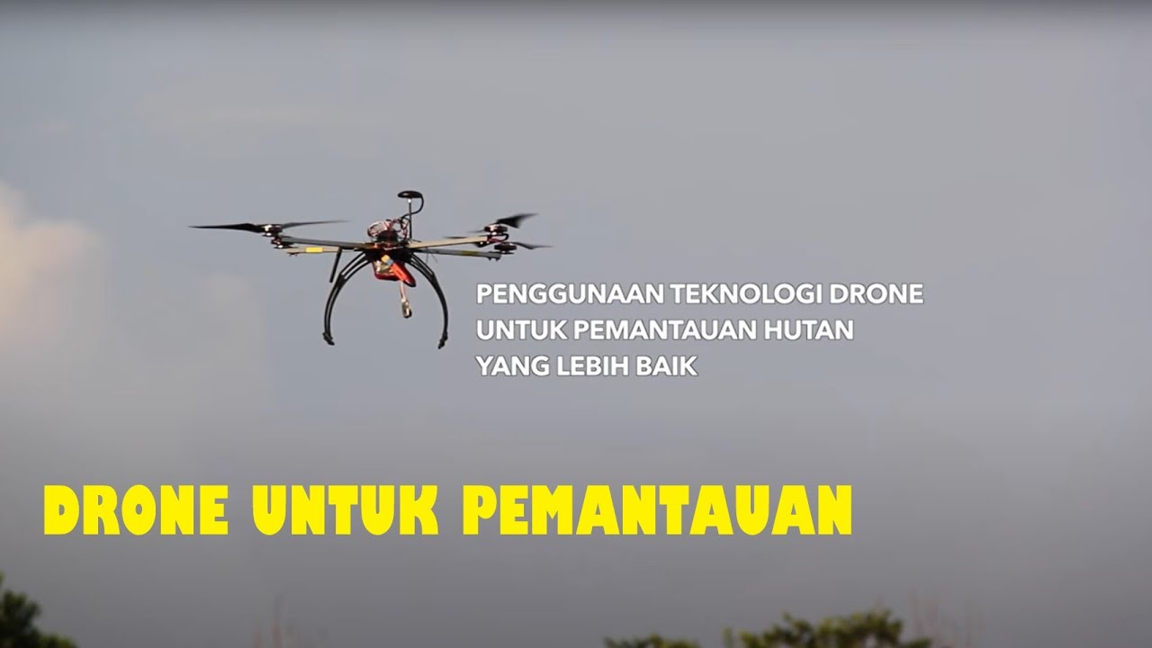 Menggunakan Drone Untuk Pengukuran Area Hutan: Panduan Langkah Demi Langkah